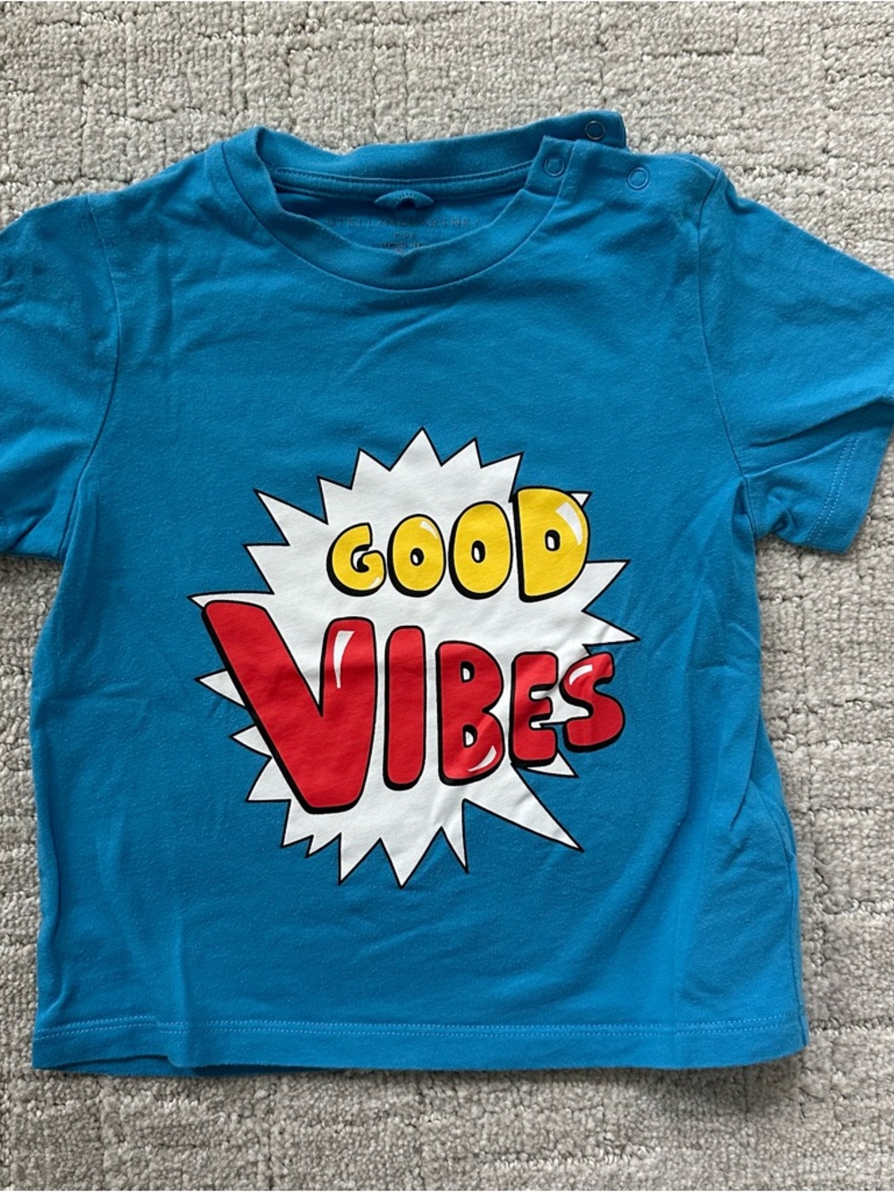 Stella McCartney Kids Blue Graphic t-shirt